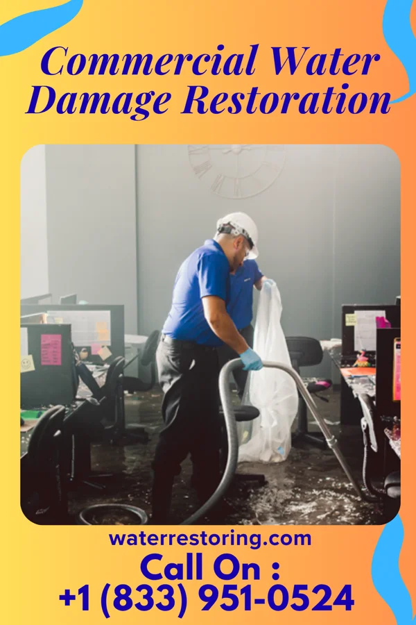 Commercial Water Damage Restoration in Luverne, ND