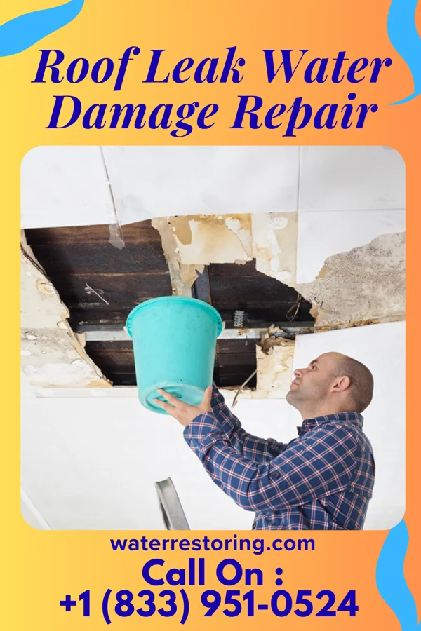 Roof Leak Water Damage Repair in Luverne, ND